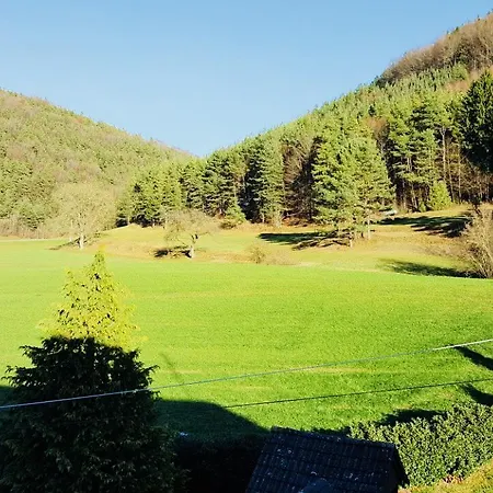 Gasthof Zum Lowen Wiechs am Randen