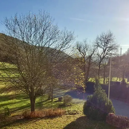 Hotel Gasthof Zum Lowen 2*